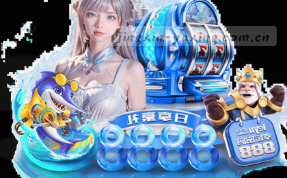 赛程总览全景展示